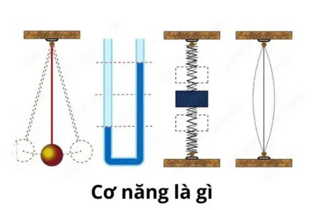 co-nang-la-gi