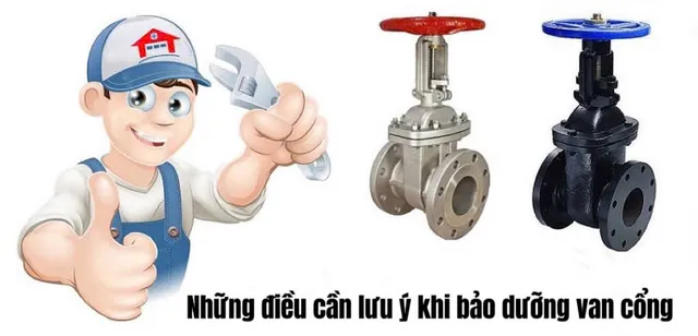 nhung dieu can luu y khi bao duong van cong