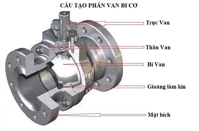 cau-tao-van-bi-co